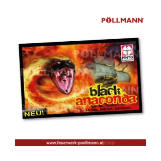 Black Anaconda